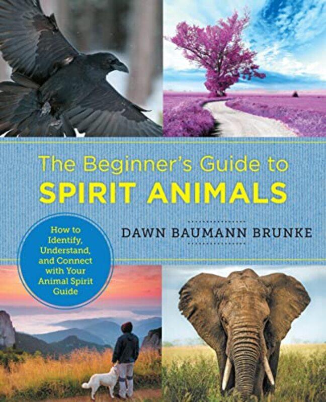 

The Beginners Guide to Spirit Animals by Allan Sefton-Paperback