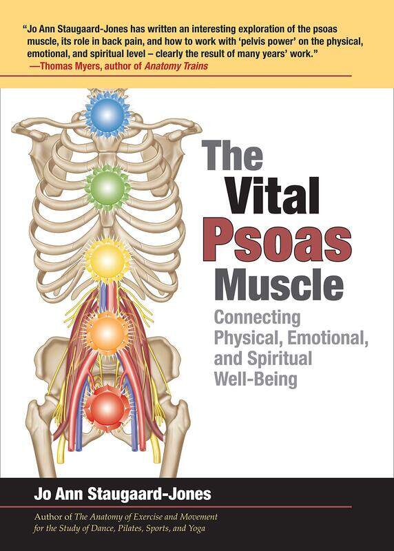 

The Vital Psoas Muscle: Connecting Physical, Emotional, and Spiritual Well-Being