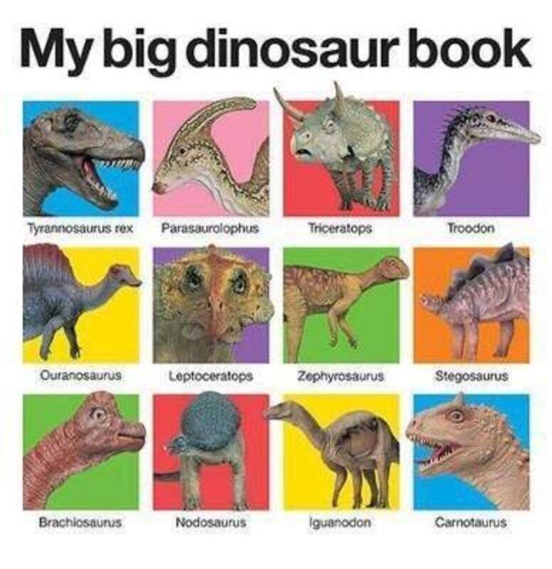

My Big Dinosaur Book,Hardcover, By:Priddy, Roger