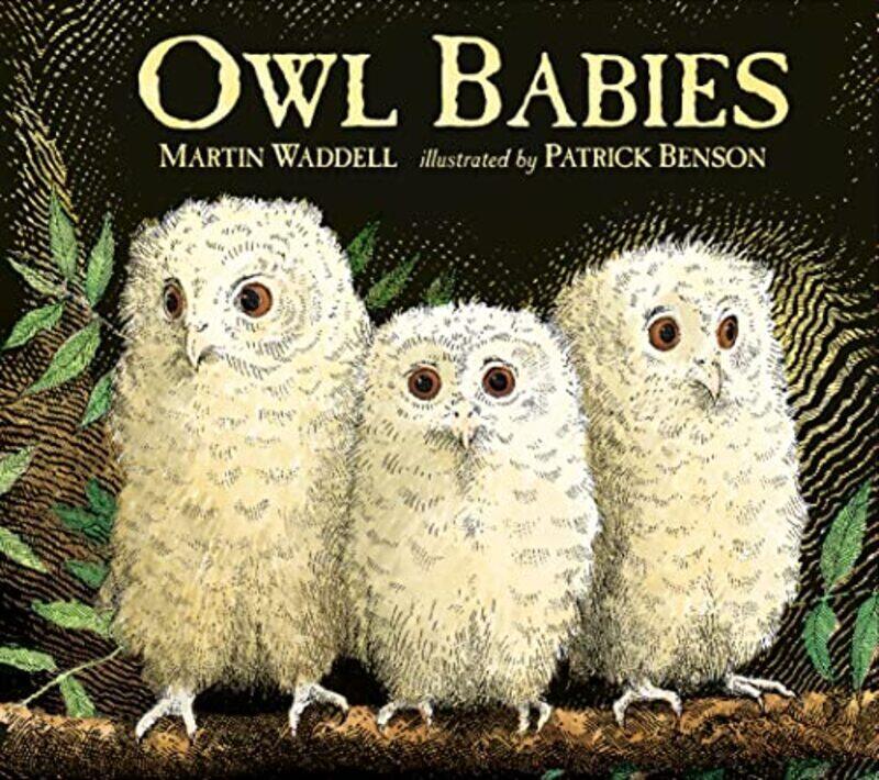 

Owl Babies , Paperback by Martin Waddell