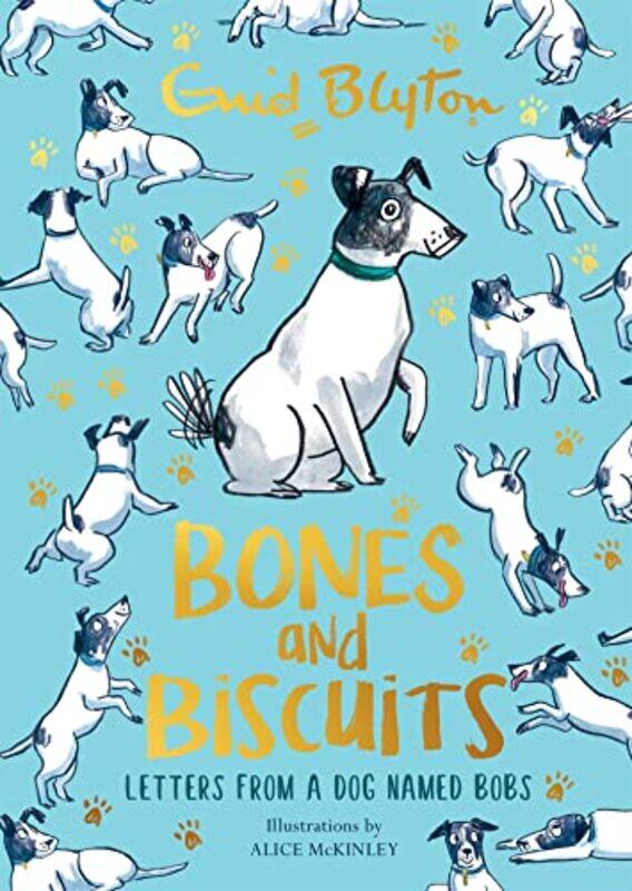 

Bones and Biscuits by Enid Blyton-Hardcover