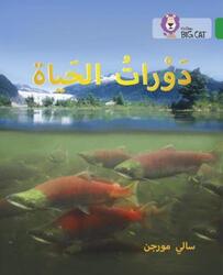 Life Cycles: Level 15 (Collins Big Cat Arabic Reading Programme).paperback,By :Morgan Sally