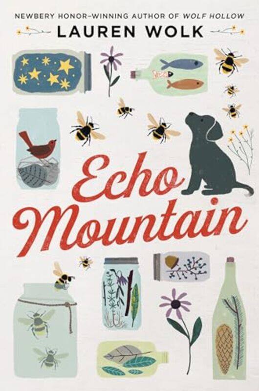 

Echo Mountain By Wolk Lauren - Paperback