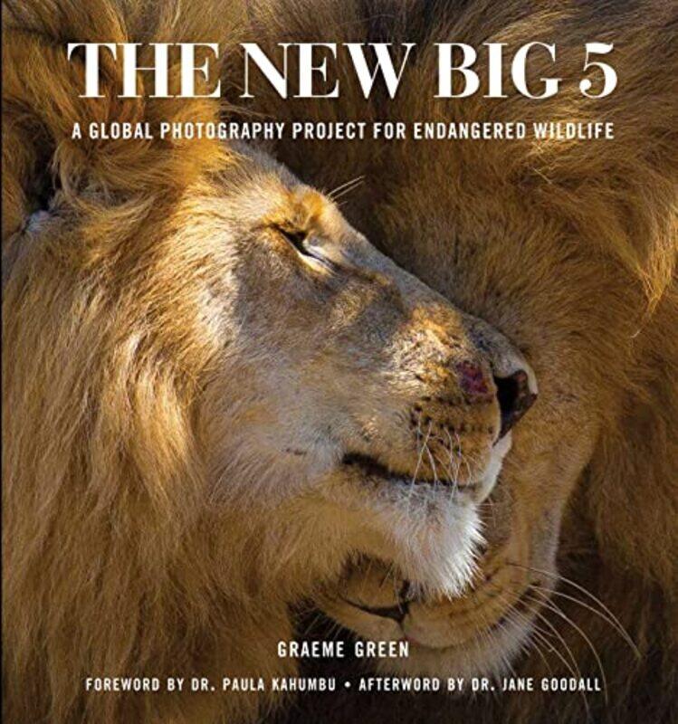 

The New Big Five by Paperblanks-Hardcover