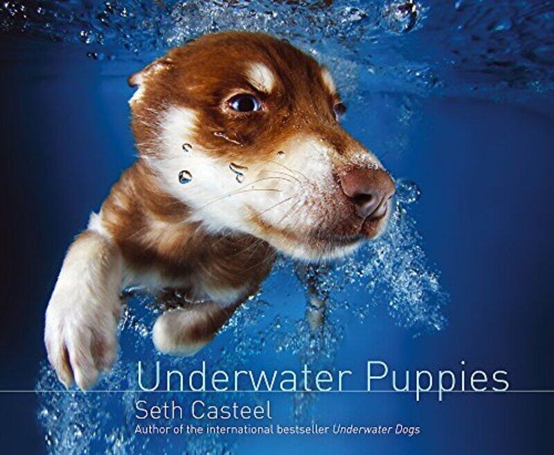 

Underwater Puppies, Hardcover Book, By: Seth Casteel