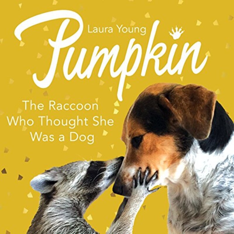 Pumpkin: The Raccoon Who Thought She Was a Dog, Hardcover Book, By: Laura Young