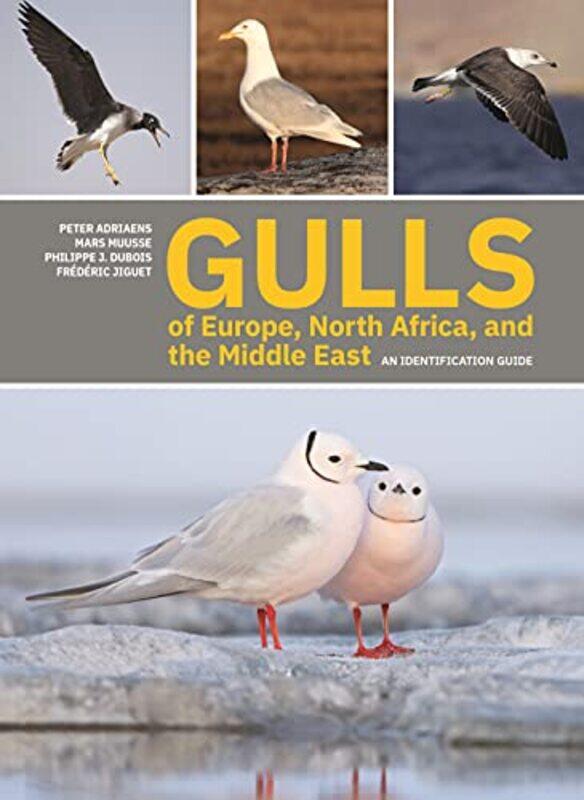 

Gulls of Europe North Africa and the Middle East by Angela WilkesJohn Shackell-Paperback