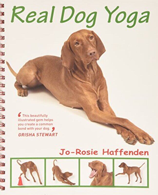 

Real Dog Yoga by Michael Palmer-Paperback