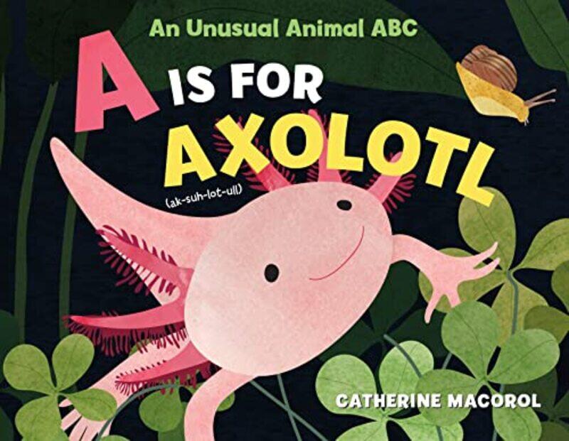 

A Is for Axolotl An Unusual Animal ABC by Catherine MacorolCatherine Macorol-Hardcover