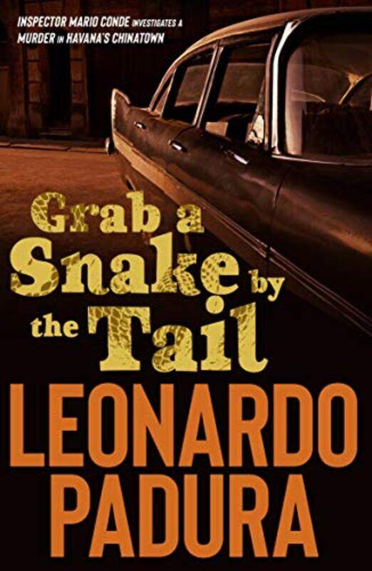 

Grab a Snake by the Tail by Leonardo Padura-Paperback