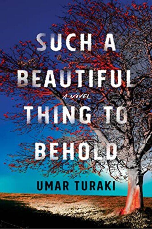 

Such a Beautiful Thing to Behold by Umar Turaki-Hardcover