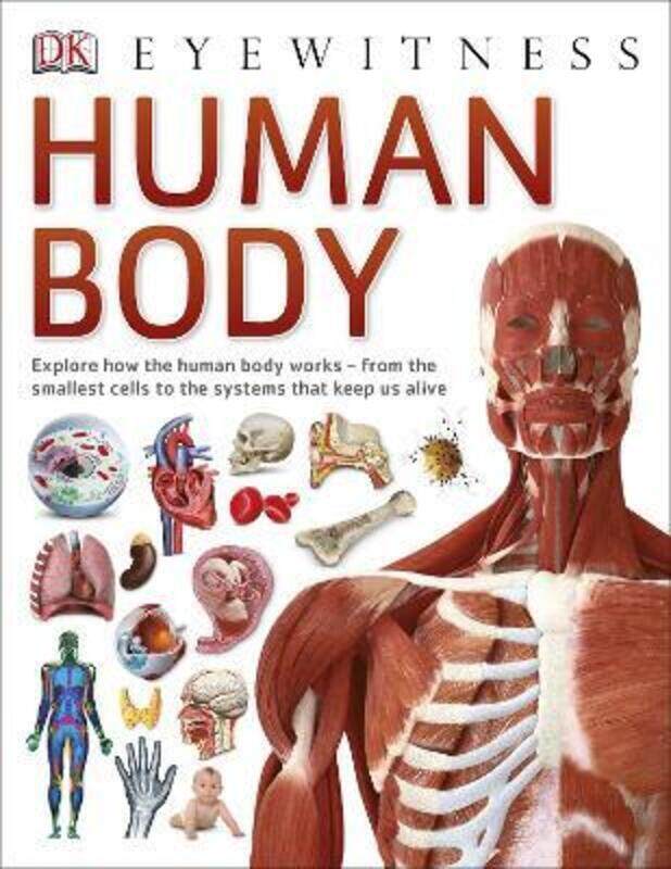 

Human Body (Eyewitness),Paperback, By:DK
