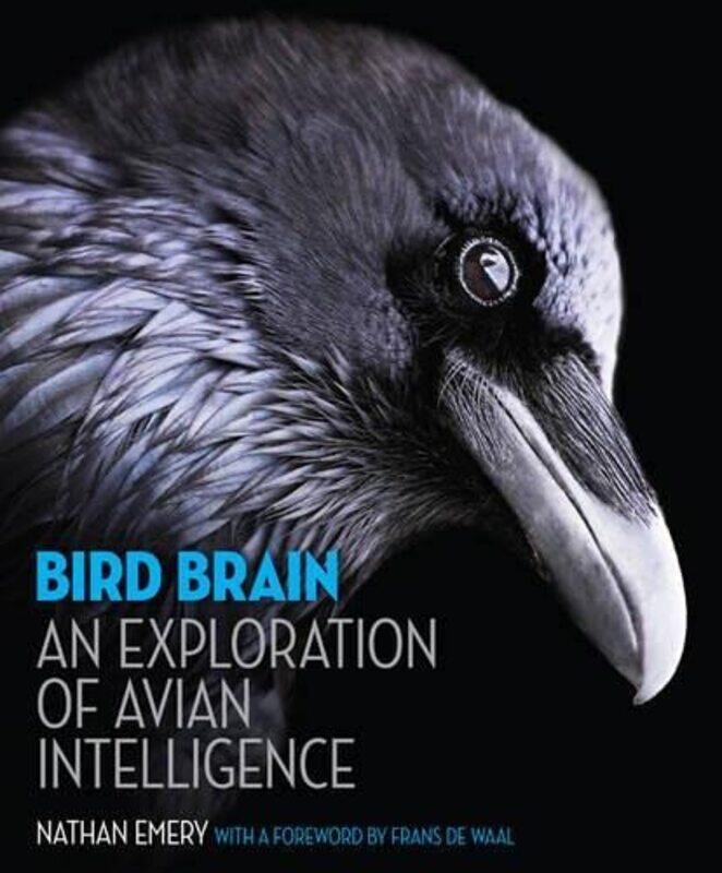 

Bird Brain by Nathan Emery-Hardcover