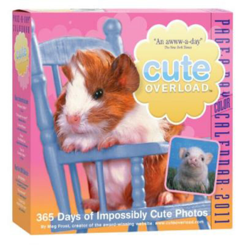 

Cute Overload Page-A-Day Calendar 2011, By: Meg Frost