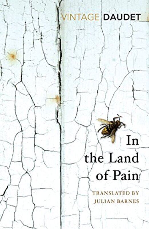 

In the Land of Pain by Tom WaltersGlen Cordoza-Paperback