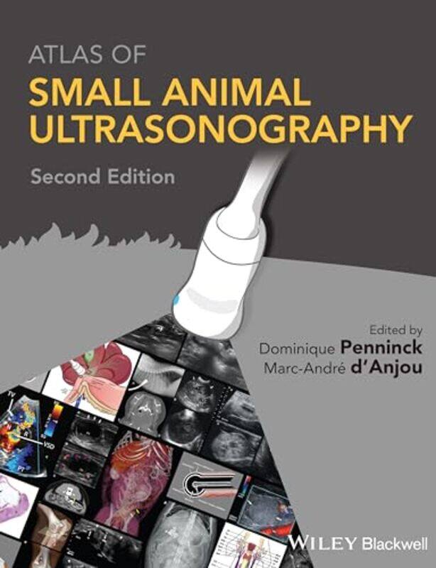 

Atlas of Small Animal Ultrasonography by Collins GCSEFiona BaldingKath CallaghanSuzanne GrayBarbara MonksBarbara Rathmill-Hardcover