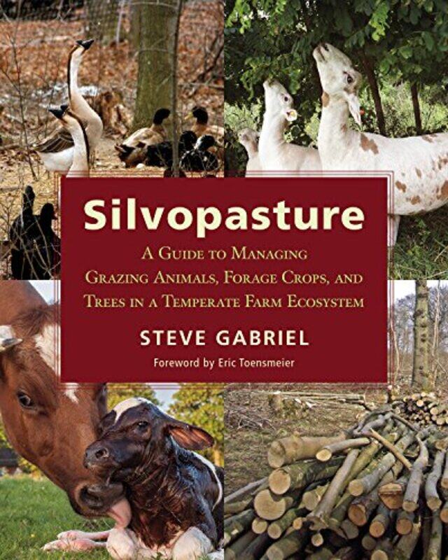 

Silvopasture by Senthorun Raj-Paperback