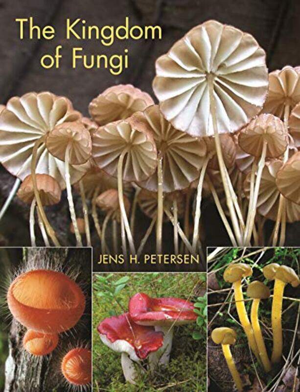 

The Kingdom of Fungi by Jens Henrik Petersen-Hardcover