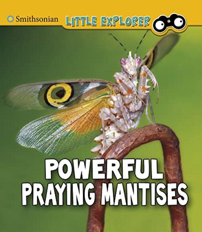 

Powerful Praying Mantises by Steve Trenoweth-Paperback