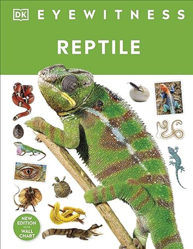 

Reptile by Malcolm Batten-Hardcover