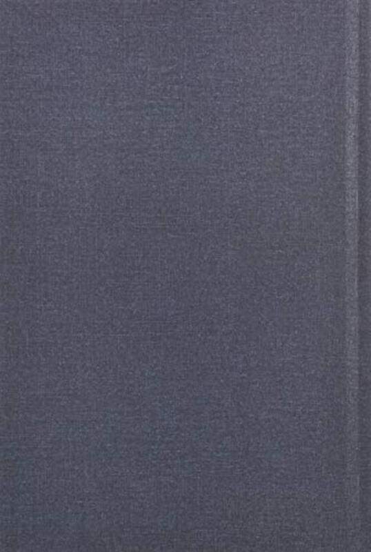 

The Fantabulous Golden Lightning Bolts by Jarrod D Dixon-Hardcover