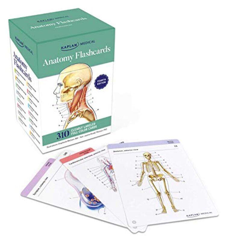 

Anatomy Flashcards By McCann, Stephanie - Tillotson, Joanne Paperback