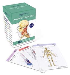Anatomy Flashcards By McCann, Stephanie - Tillotson, Joanne Paperback