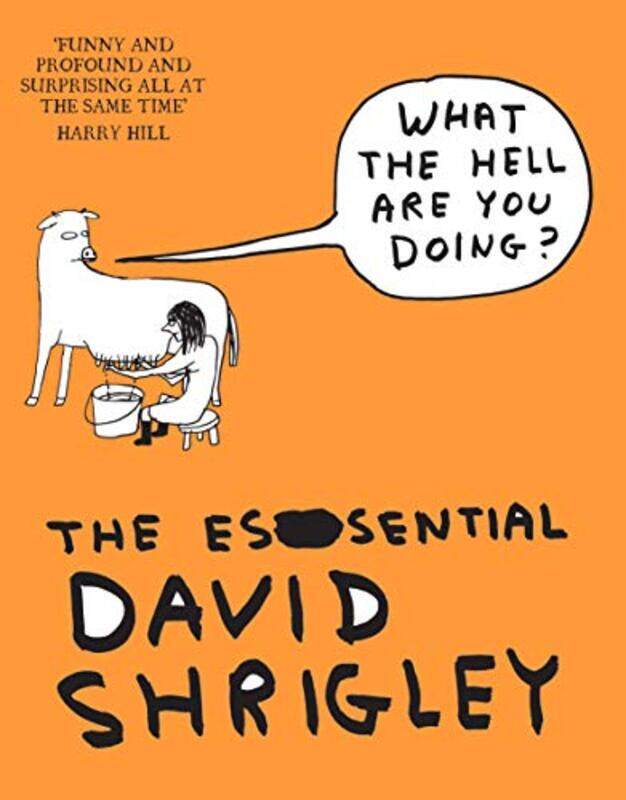 

What The Hell Are You Doing The Essential David Shrigley by Perry-Paperback