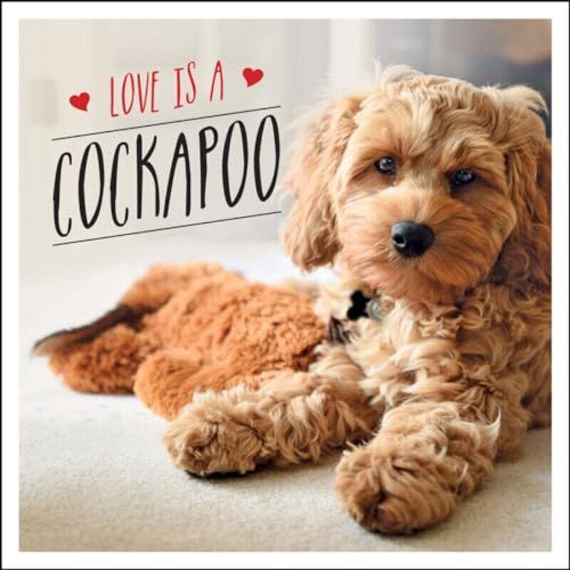 

Love is a Cockapoo by CGP BooksCGP Books-Hardcover
