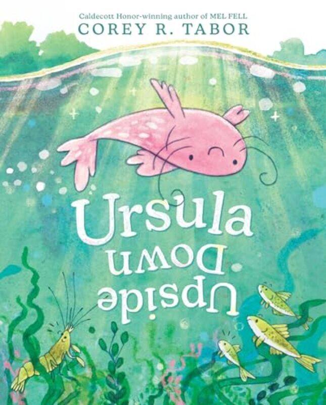 

Ursula Upside Down By Tabor, Corey R. - Tabor, Corey R. - Hardcover