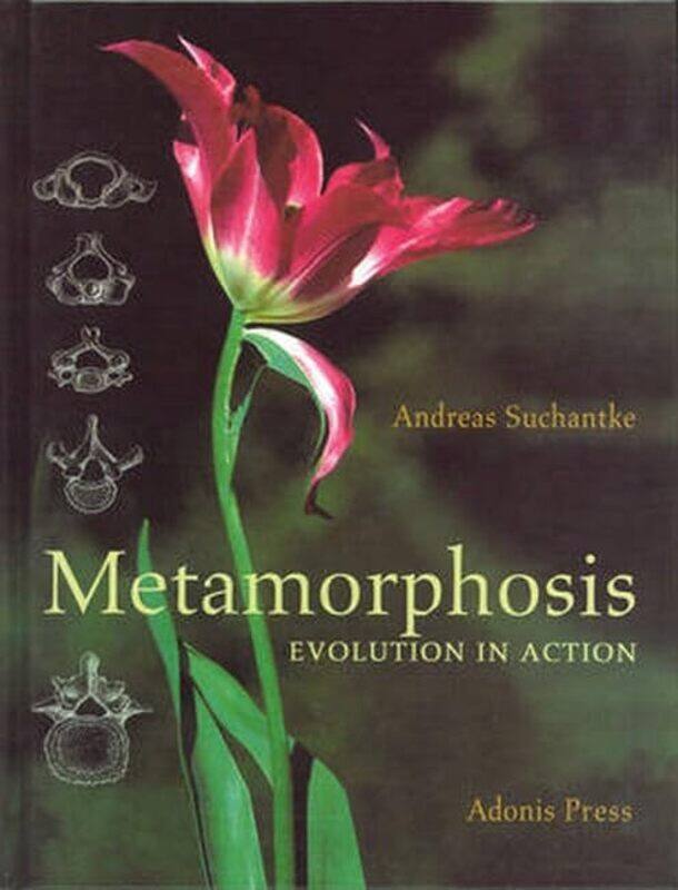 

Metamorphosis by Andreas SuchantkeNorman Skillen-Hardcover