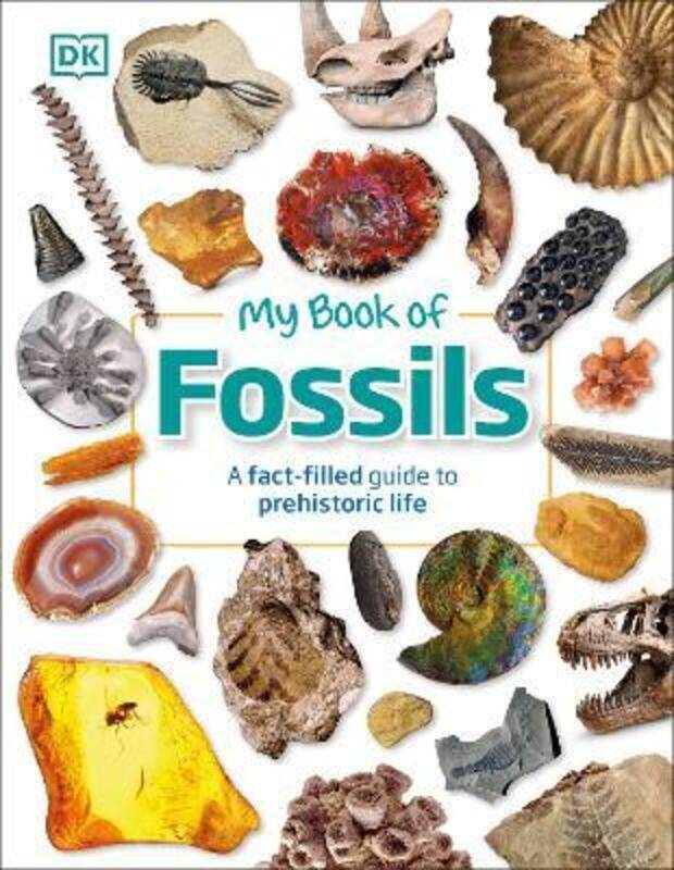 

My Book of Fossils,Hardcover, By:DK