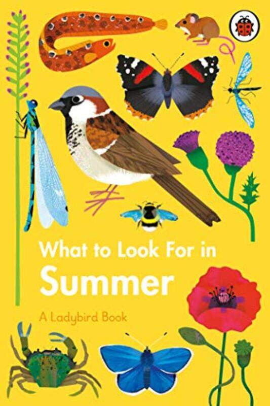 

What to Look For in Summer by Elizabeth JennerNatasha Durley-Hardcover