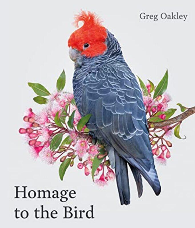 

Homage to the Bird by Cindy PoortmanChris Brown-Hardcover