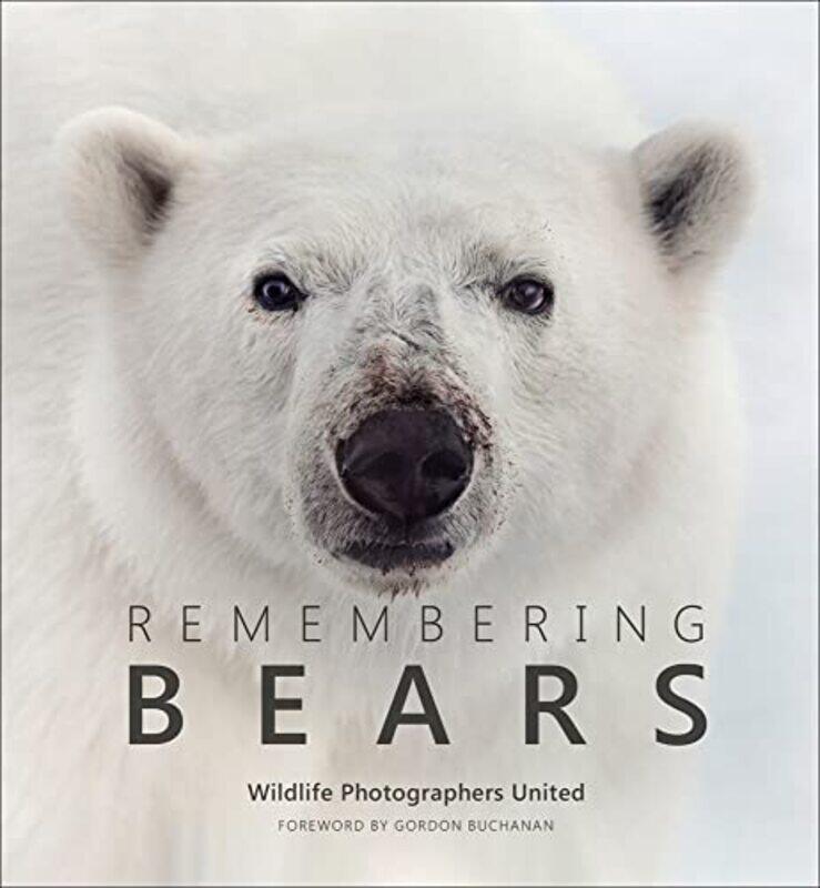 

Remembering Bears by Anisa Varasteh-Hardcover