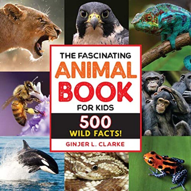 

The Fascinating Animal Book For Kids 500 Wild Facts By Clarke, Ginjer -Hardcover