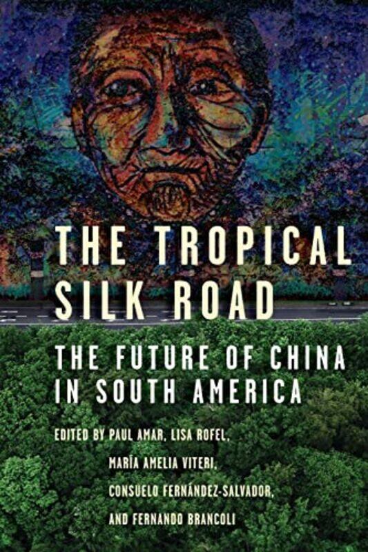 

The Tropical Silk Road by Paul AmarLisa RofelFernando BrancoliMaria Amelia ViteriConsuelo Fernandez-Paperback