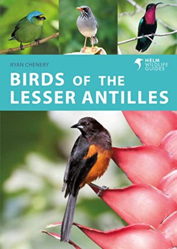 

Birds Of The Lesser Antilles by Ryan Chenery-Paperback