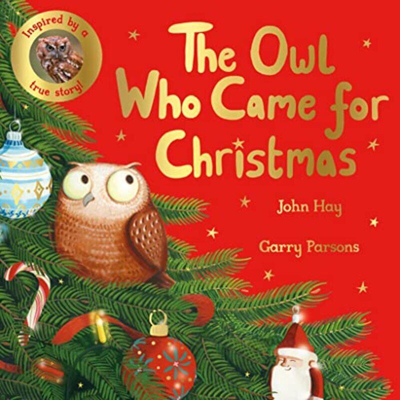 

The Owl Who Came for Christmas by John HayGarry Parsons-Paperback