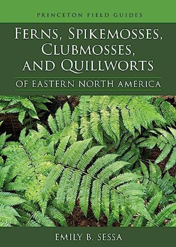 

Ferns Spikemosses Clubmosses And Quillwort By Sessa Emily - Paperback