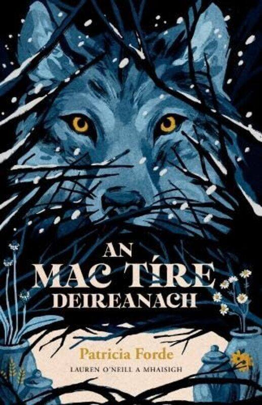 

An Mac Tire Deireanach by Patricia FordeLauren ONeill-Paperback