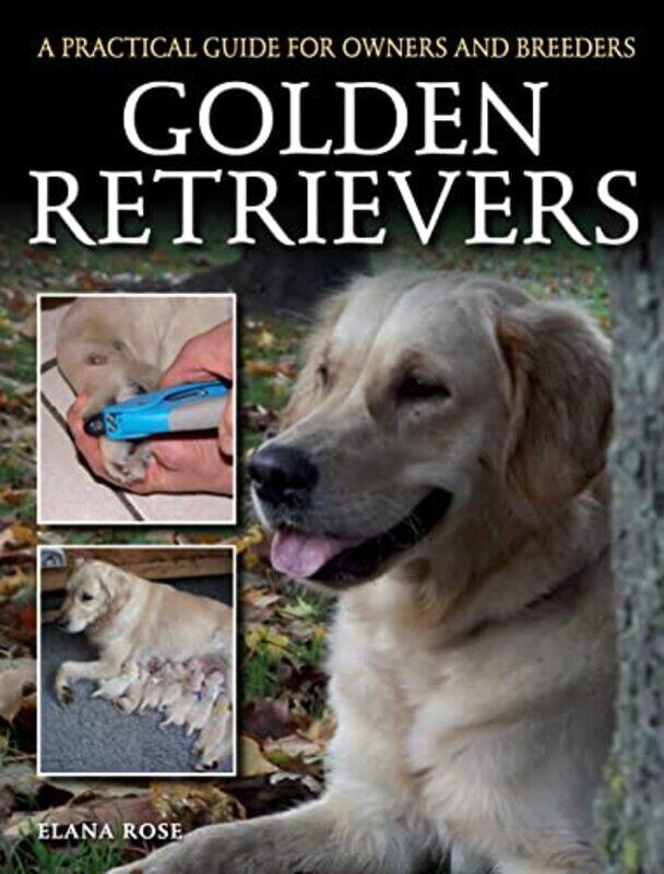 

Golden Retrievers by Michellejoy HughesBond 11+-Paperback