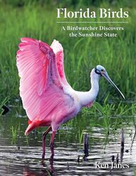 Florida Birds by Melanie McEwenEvelyn M Wills-Paperback