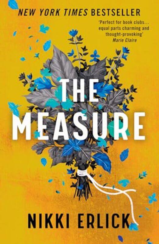 

The Measure by Nikki Erlick-Paperback