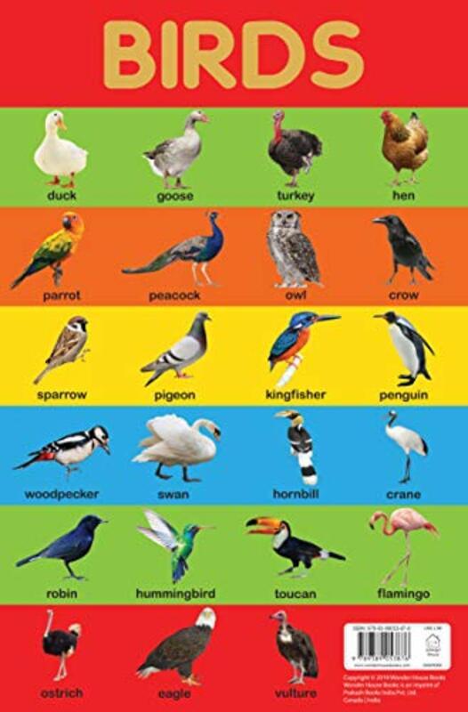 Birds Chart - Early Learning Educational Chart For Kids: Perfect For Homeschooling, Kindergarten and