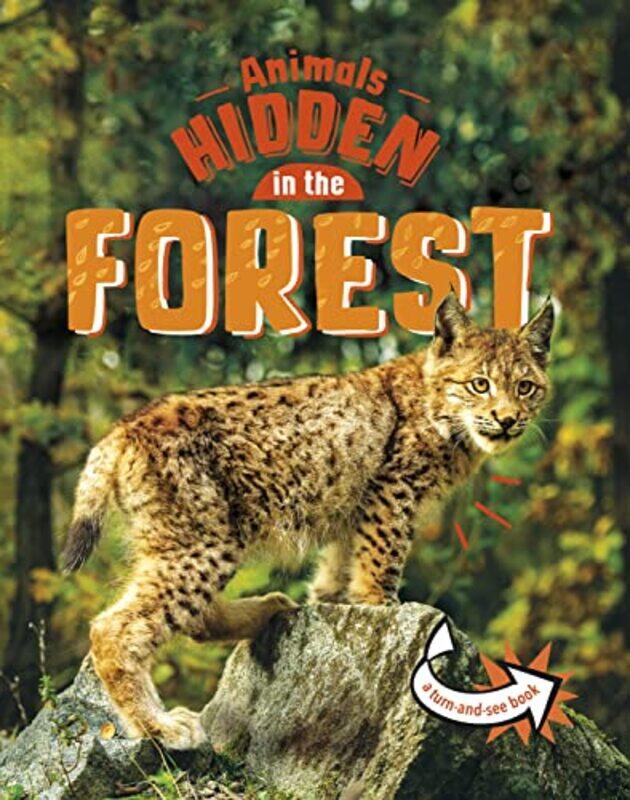 

Animals Hidden in the Forest by Jessica Rusick-Paperback