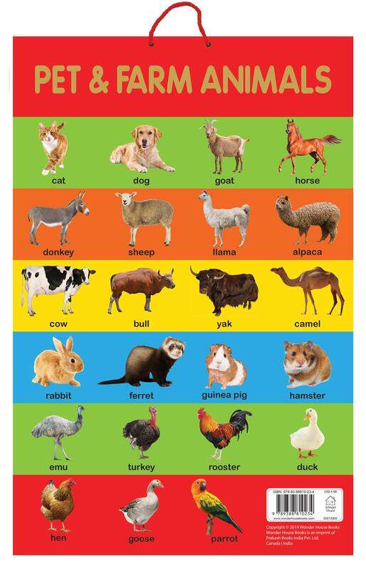 

Pet & Farm Animals, Paperback Book, By: Wonder House Books