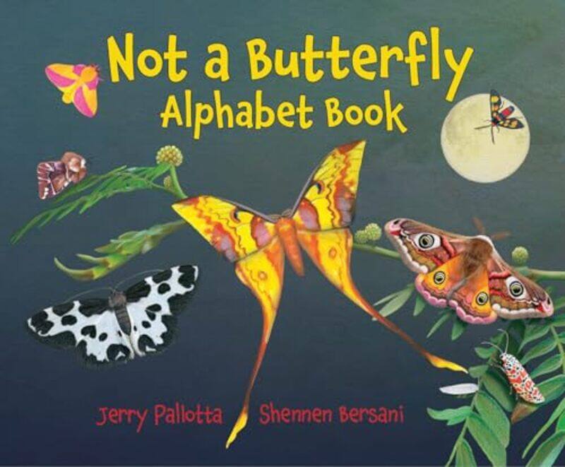 

Not a Butterfly Alphabet Book by Lesley Parkinson-Hardcover