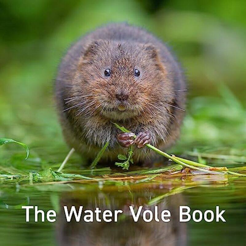 

Water Vole Book The by Ian Paul-Hardcover