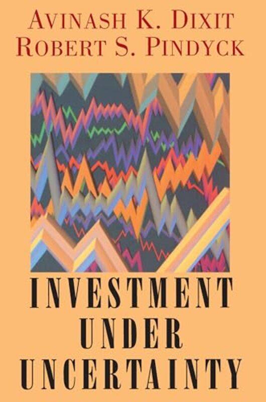 

Investment under Uncertainty by Devika JinaMaggie Cole-Hardcover